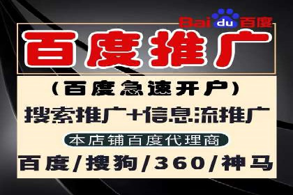 百度SEO推广公司经典之作：打造行业领先品牌